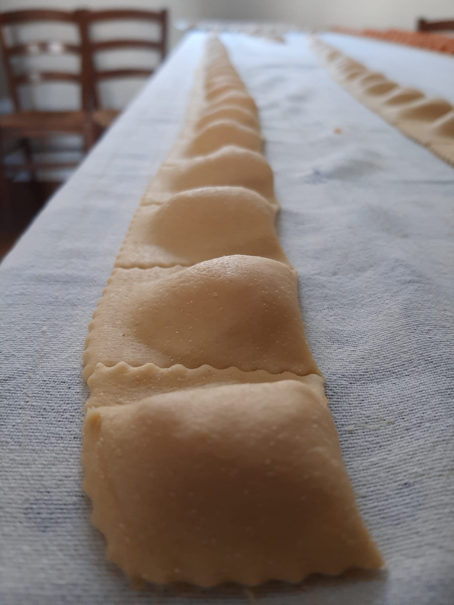 Pasta ripiena appena chiusa disposta in fila