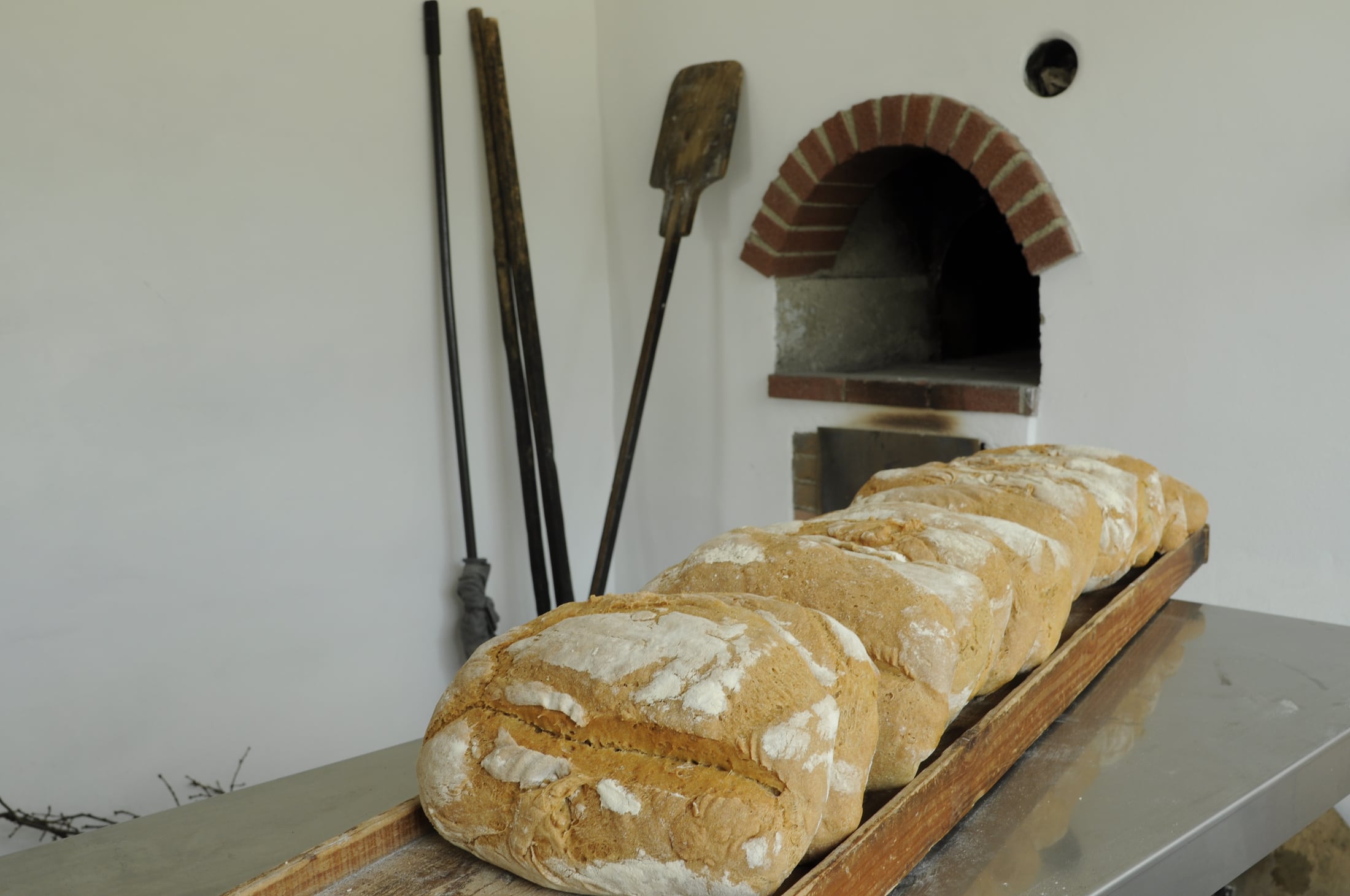 Il pane dell’azienda appena sfornato