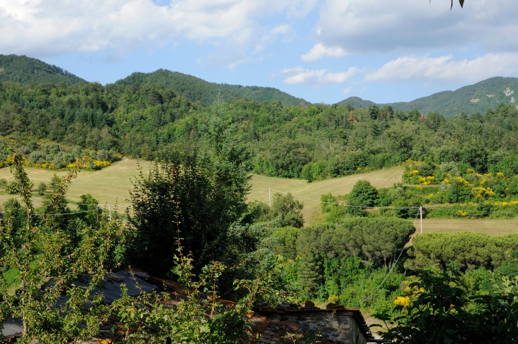 Il paesaggio verde intorno a Marzano
